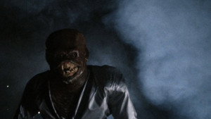 Ночной зверь (фильм, 1982)
