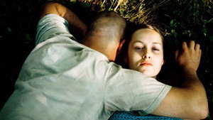 Фландрия (фильм, 2006)