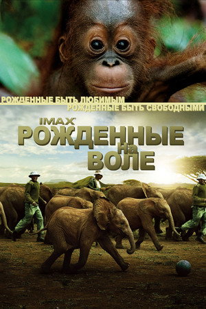 Рожденные на воле (фильм, 2011)