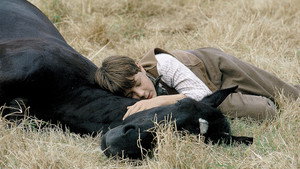 Черный красавец (фильм, 1994)