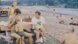 Иди домой (фильм, 1971)