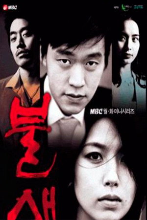 Феникс (сериал, 2004)