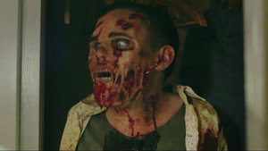 Ибица живых мертвецов (фильм, 2016)