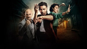 Мастер Z: Наследие Ип Мана (фильм, 2018)
