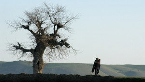 Двуногий конь (фильм, 2008)