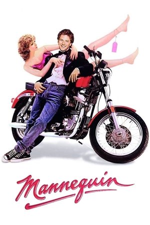Манекен (фильм, 1987)