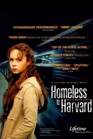 Гарвардский бомж (фильм, 2003)