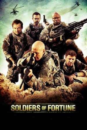Солдаты удачи (фильм, 2011)