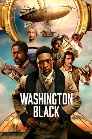 Вашингтон Блэк (сериал, 2025)