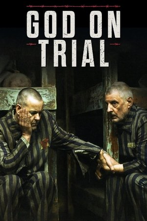 Суд над богом (фильм, 2008)