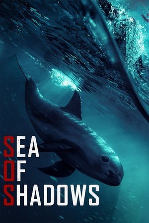 Море теней (фильм, 2019)