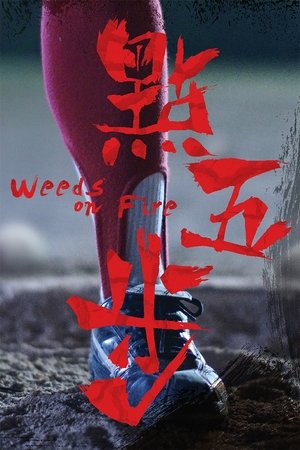 Сорняки в огне (фильм, 2016)