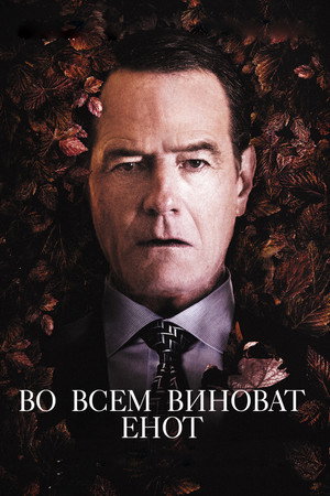 Во всем виноват енот (фильм, 2016)