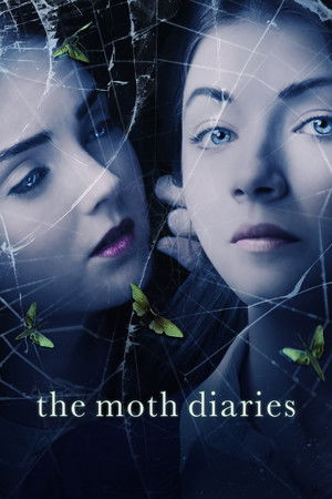 Дневники мотылька (фильм, 2011)
