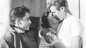 Бунтарь без причины (фильм, 1955)