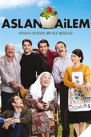 Семья Аслан (сериал, 2017)