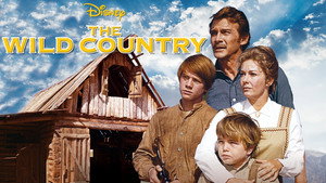 Повеса за городом (фильм, 1970)