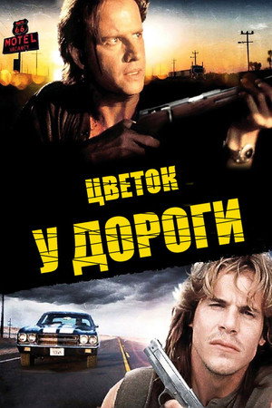 Цветок у дороги (фильм, 1993)