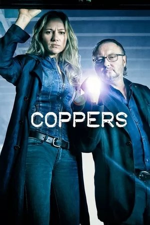 Грубое правосудие (сериал, 2016)