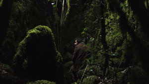 Долгая ночь (фильм, 2019)