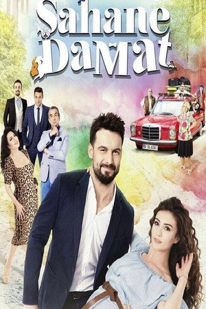 Замечательный зять (сериал, 2016)