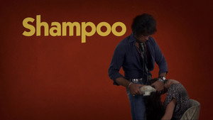 Шампунь (фильм, 1975)