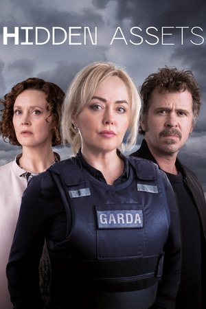 Скрытые активы (сериал, 2021)