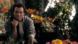 Постель из роз (фильм, 1996)