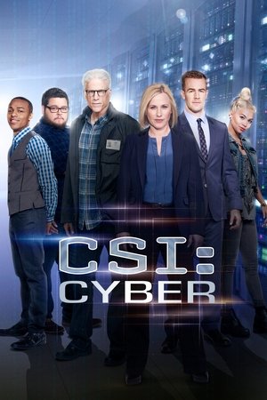 CSI: Киберпространство (сериал, 2015)