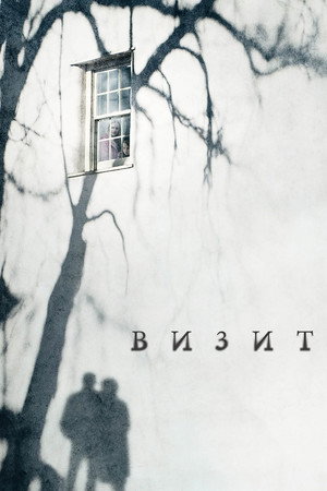 Визит (фильм, 2015)