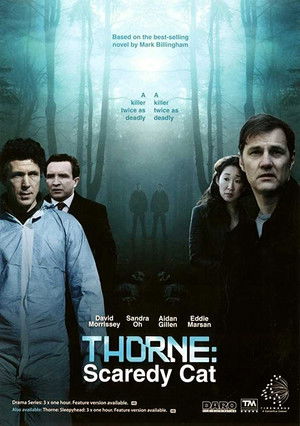 Торн: Пуганая ворона (сериал, 2010)