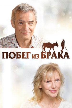 Ноги Святой Хильдегарды (фильм, 2020)