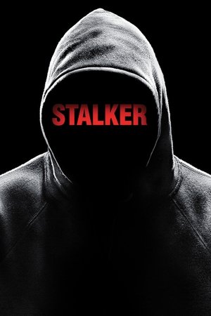 Сталкер (сериал, 2014)