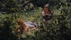 Муравейник (фильм, 1971)