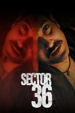Сектор 36 (фильм, 2024)