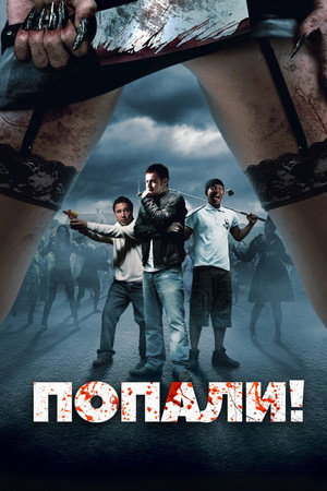 Попали! (фильм, 2009)