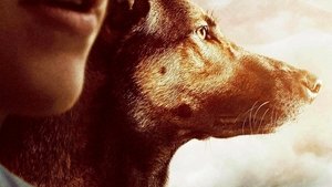Макс (фильм, 2015)