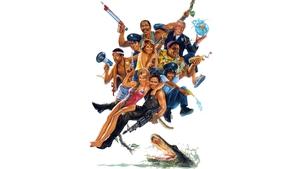 Полицейская академия 5: Место назначения – Майами Бич (фильм, 1988)