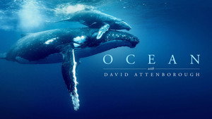 Дэвид Аттенборо: Океан (фильм, 2025)