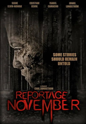 Ноябрьский репортаж (фильм, 2020)