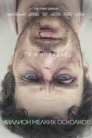Миллион мелких осколков (фильм, 2018)