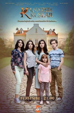Птицы без крыльев (сериал, 2017)