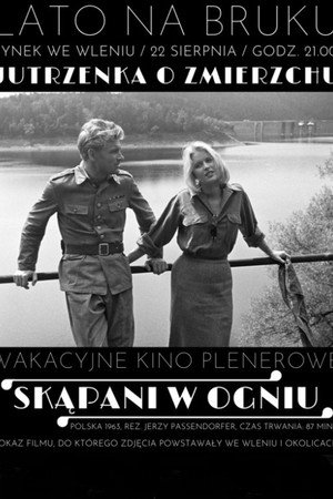 Крещенные огнем (фильм, 1963)