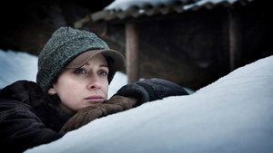 Ледяной лес (фильм, 2014)