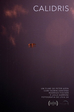 Песочник (фильм, 2019)