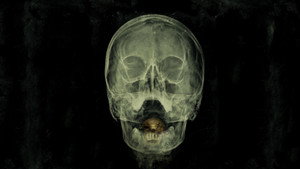 Залив (фильм, 2012)