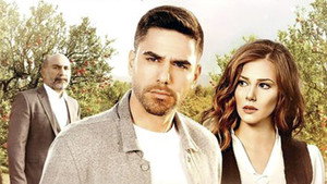 Любовь моя, Алабора (сериал, 2015)