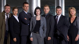 Телохранители (сериал, 2009)