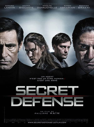 Интересы государства (фильм, 2008)