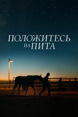 Положитесь на Пита (фильм, 2017)